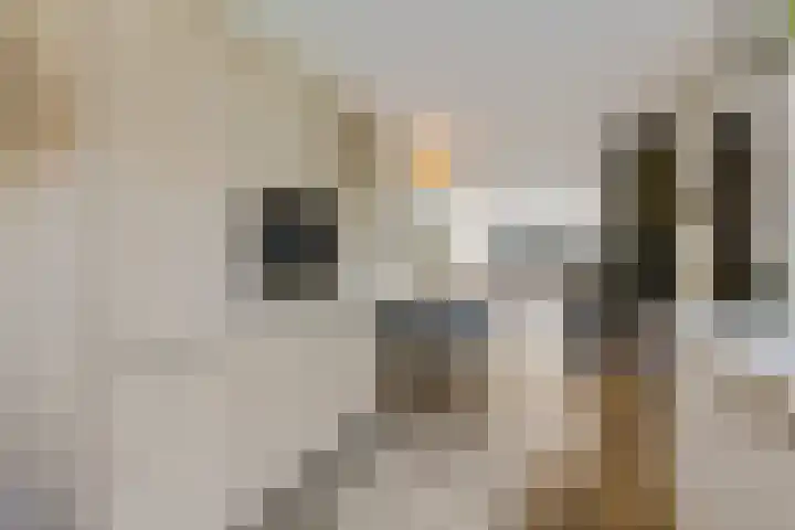 Johan de Wittlaan 13 Barneveld thumbnail 26