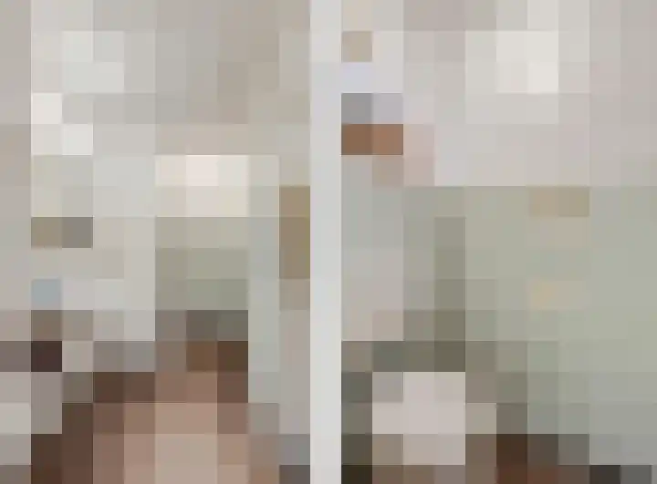 Johan de Wittlaan 13 Barneveld thumbnail 27