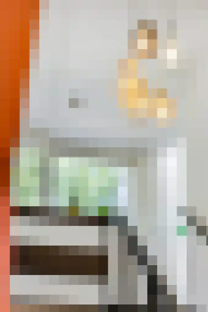 Johan de Wittlaan 13 Barneveld thumbnail 30