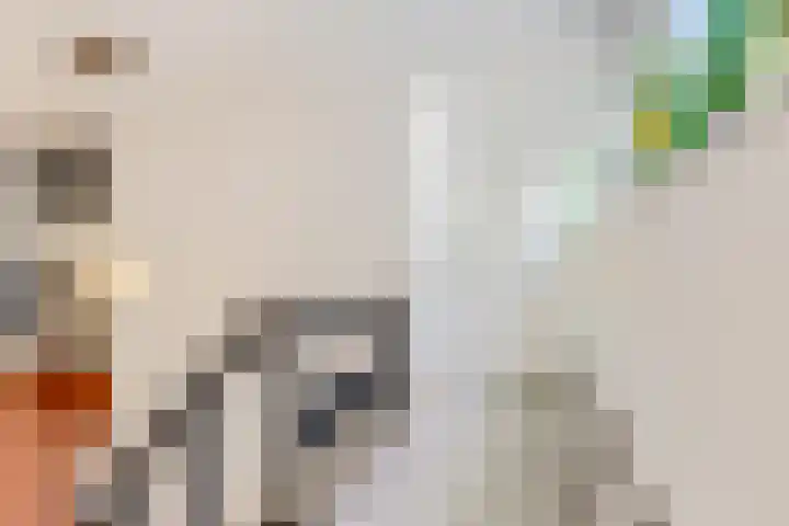 Johan de Wittlaan 13 Barneveld thumbnail 31
