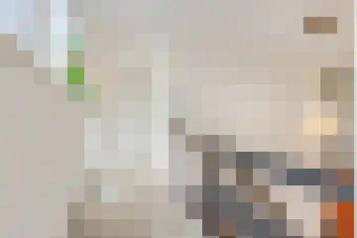 Johan de Wittlaan 13 Barneveld thumbnail 32
