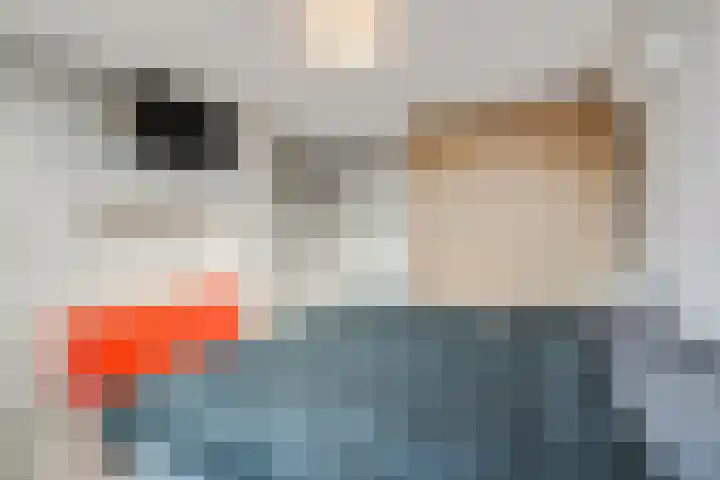Johan de Wittlaan 13 Barneveld thumbnail 35