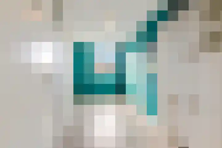 Johan de Wittlaan 13 Barneveld thumbnail 36