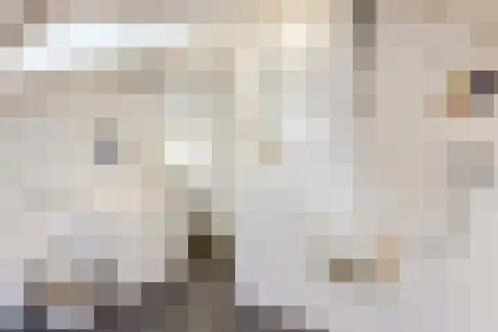 Johan de Wittlaan 13 Barneveld thumbnail 39