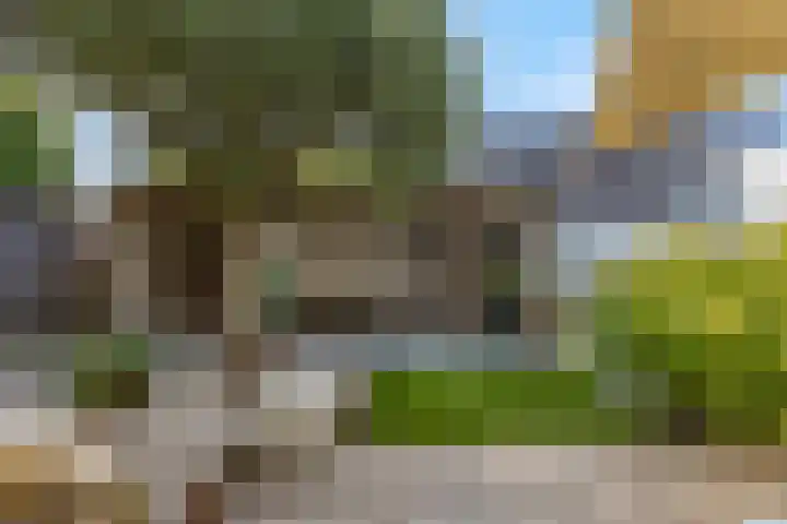 Johan de Wittlaan 13 Barneveld thumbnail 4