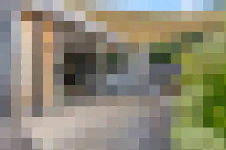 Johan de Wittlaan 13 Barneveld thumbnail 47