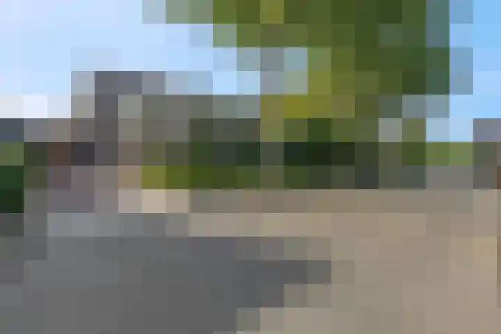 Johan de Wittlaan 13 Barneveld thumbnail 6