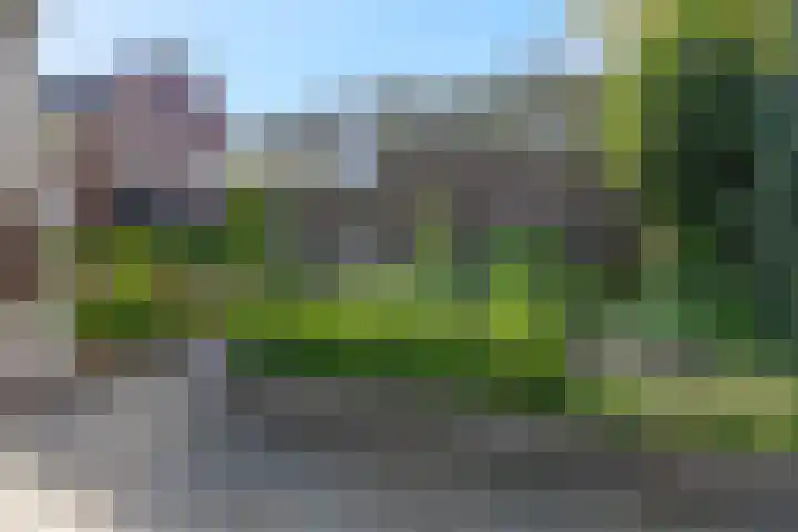 Johan de Wittlaan 13 Barneveld thumbnail 9