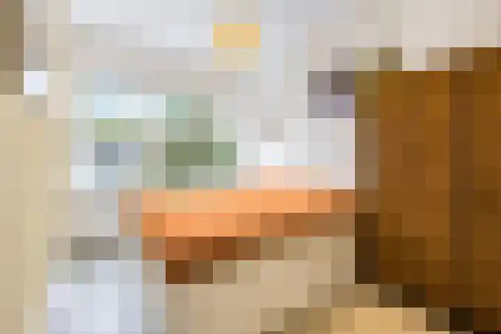 Johan de Wittlaan 134 Arnhem thumbnail 20