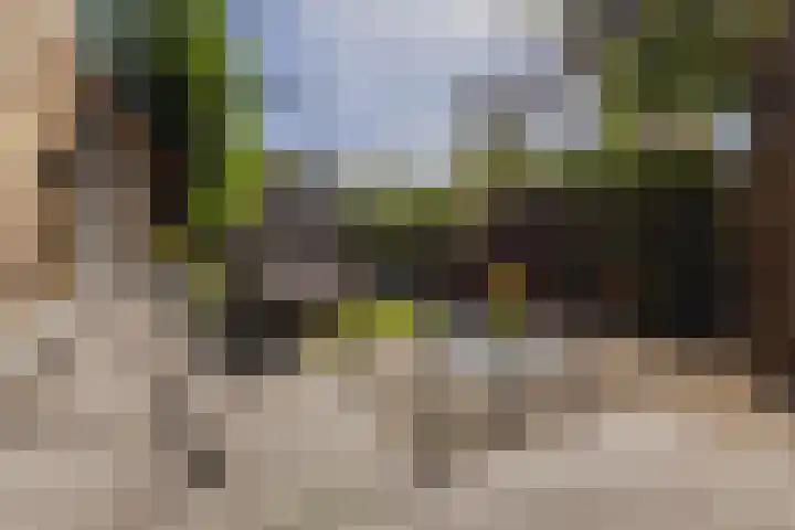 Johan de Wittlaan 134 Arnhem thumbnail 29
