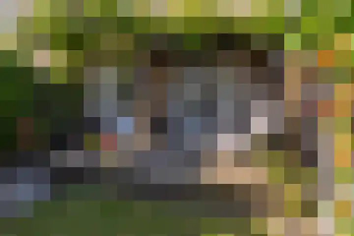 Johan de Wittlaan 134 Arnhem thumbnail 30