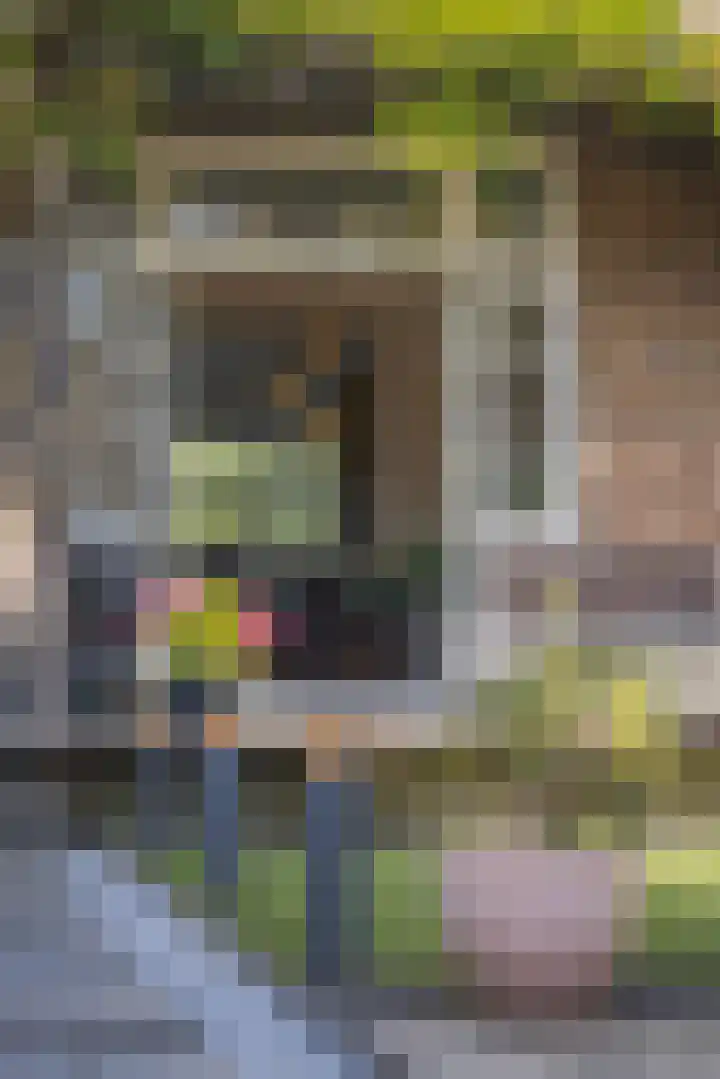 Johan de Wittlaan 134 Arnhem thumbnail 32