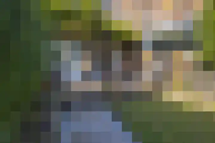 Johan de Wittlaan 134 Arnhem thumbnail 33