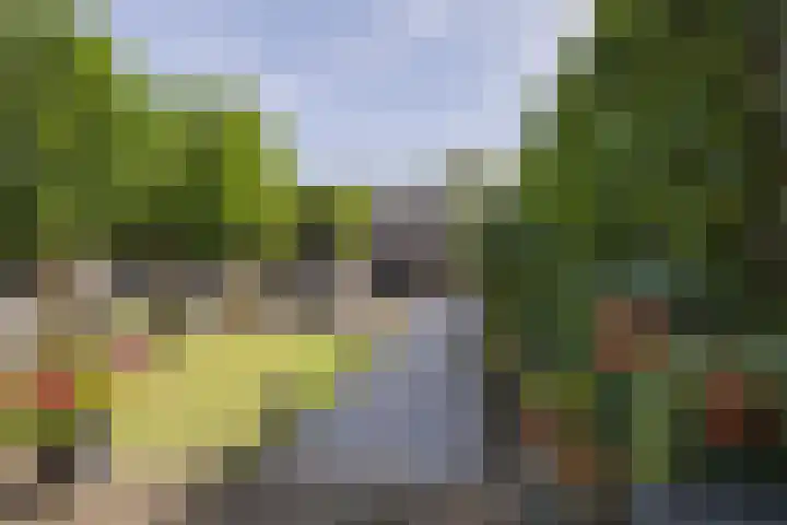 Johan de Wittlaan 134 Arnhem thumbnail 34