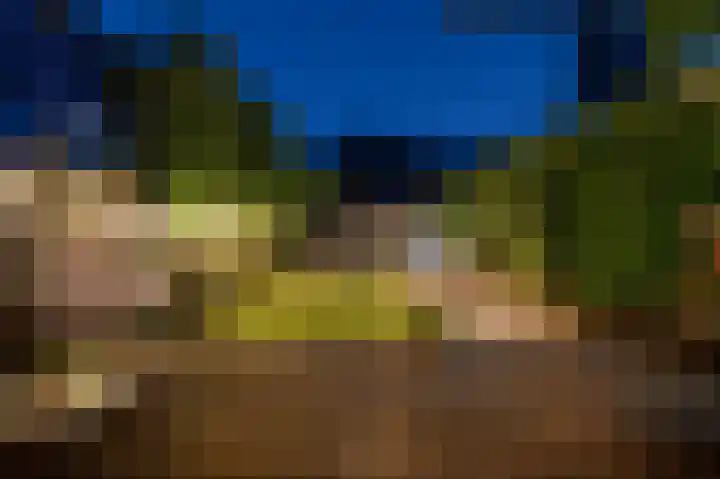 Johan de Wittlaan 134 Arnhem thumbnail 5