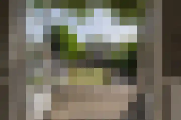 Johan de Wittlaan 134 Arnhem thumbnail 6