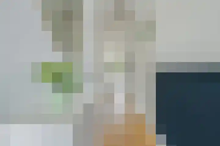Johan de Wittlaan 134 Arnhem thumbnail 8