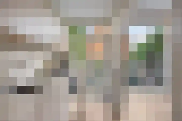 Johan de Wittlaan 145 Arnhem thumbnail 16