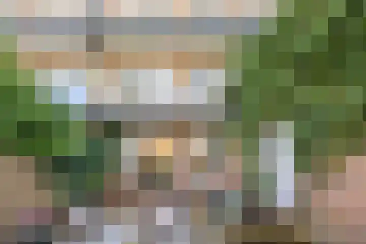 Johan de Wittlaan 145 Arnhem thumbnail 25