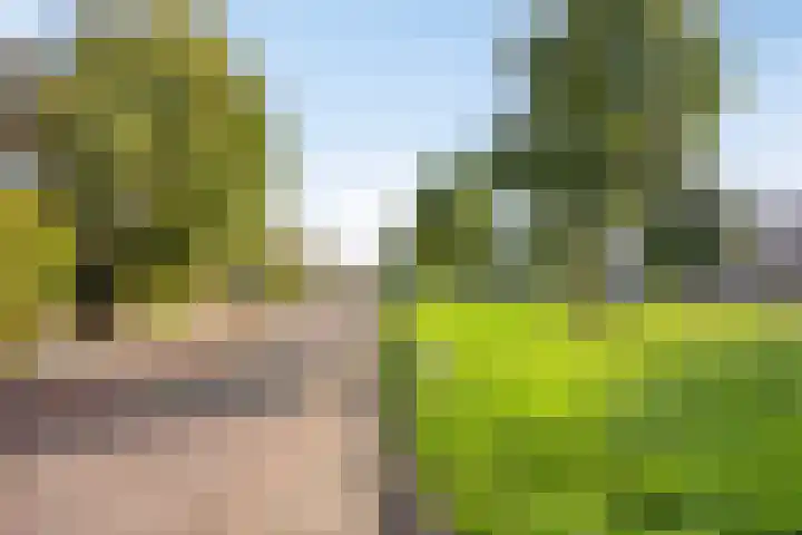 Johan de Wittlaan 145 Arnhem thumbnail 29