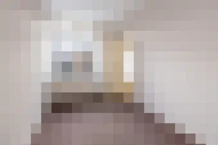 Johan de Wittlaan 15 Barneveld thumbnail 17