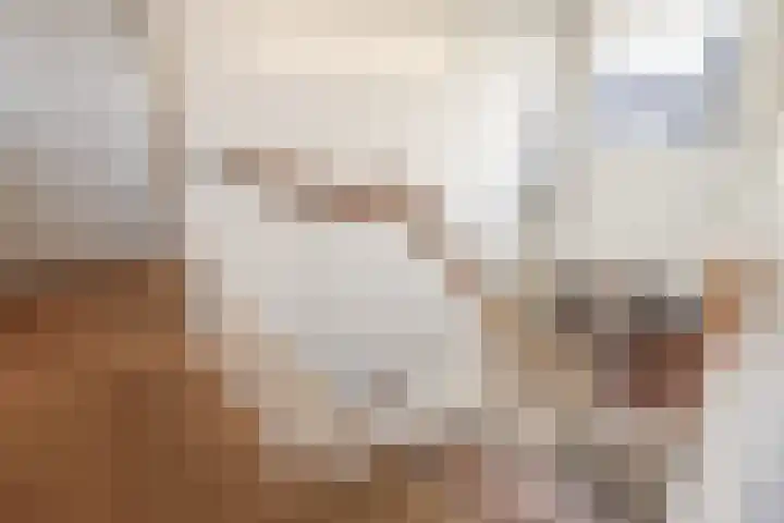 Johan de Wittlaan 15 Barneveld thumbnail 20