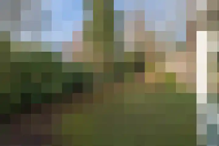 Johan de Wittlaan 15 Barneveld thumbnail 29