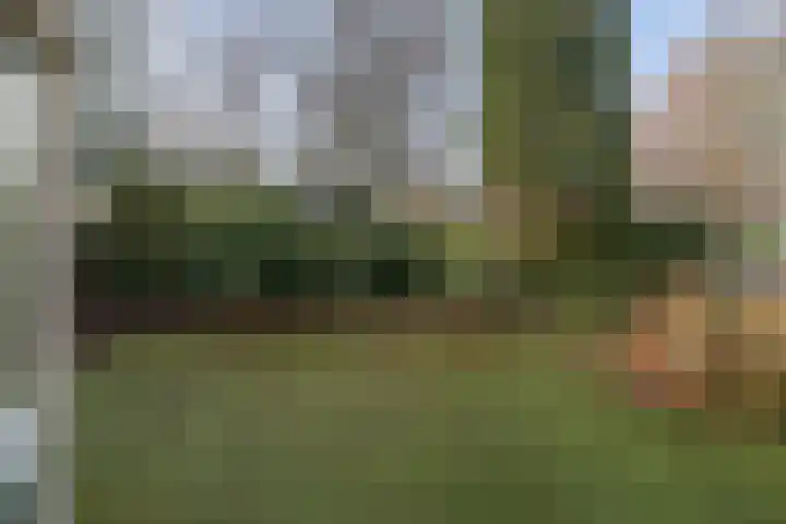 Johan de Wittlaan 15 Barneveld thumbnail 30