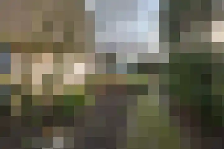 Johan de Wittlaan 15 Barneveld thumbnail 31