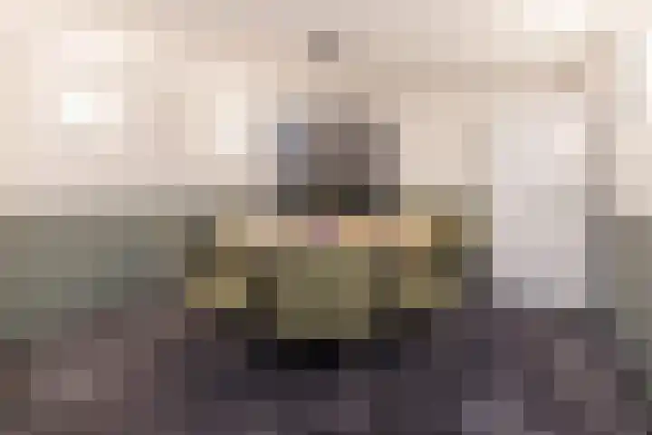 Johan de Wittlaan 15 Barneveld thumbnail 34