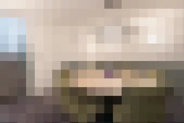 Johan de Wittlaan 15 Barneveld thumbnail 35