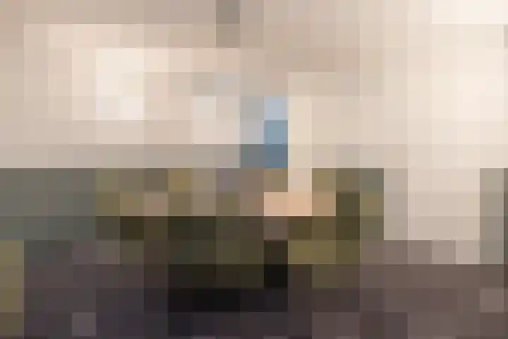 Johan de Wittlaan 15 Barneveld thumbnail 36