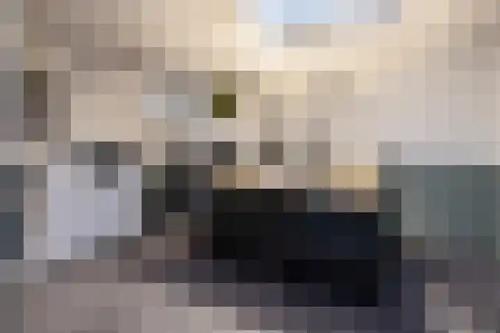 Johan de Wittlaan 15 Barneveld thumbnail 37