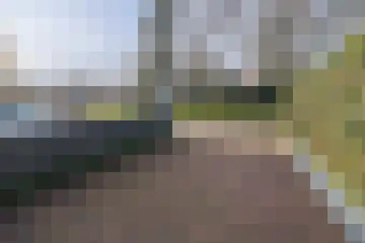 Johan de Wittlaan 15 Barneveld thumbnail 42