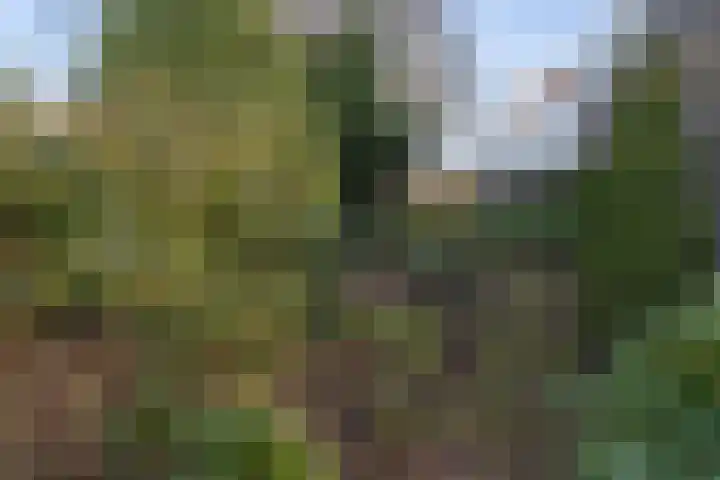 Johan de Wittlaan 15 Barneveld thumbnail 46