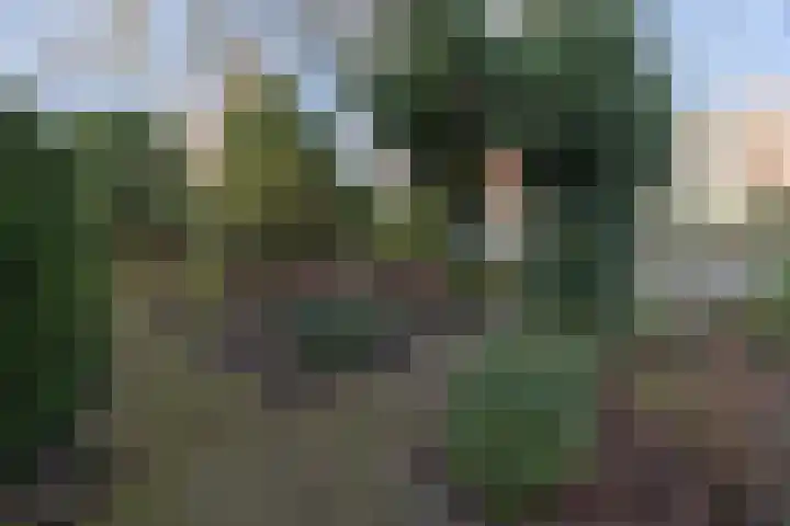 Johan de Wittlaan 15 Barneveld thumbnail 47