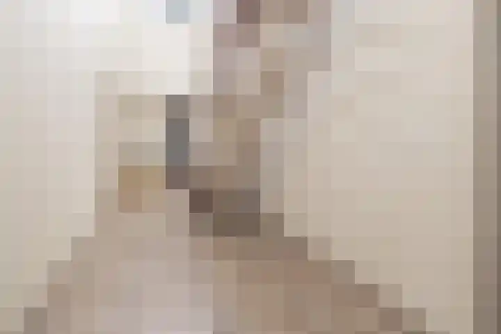 Johan de Wittlaan 15 Barneveld thumbnail 5