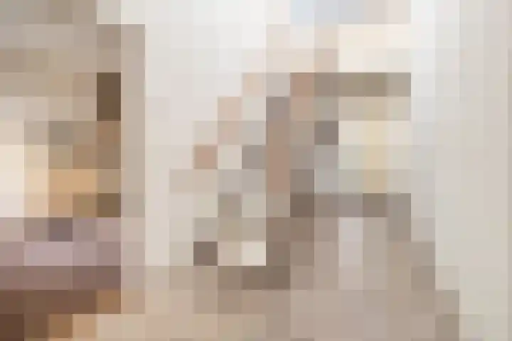 Johan de Wittlaan 15 Barneveld thumbnail 6