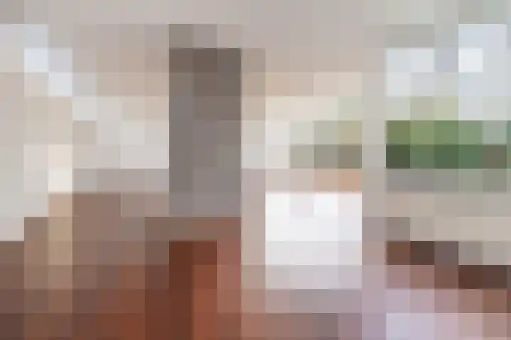 Johan de Wittlaan 15 Barneveld thumbnail 8