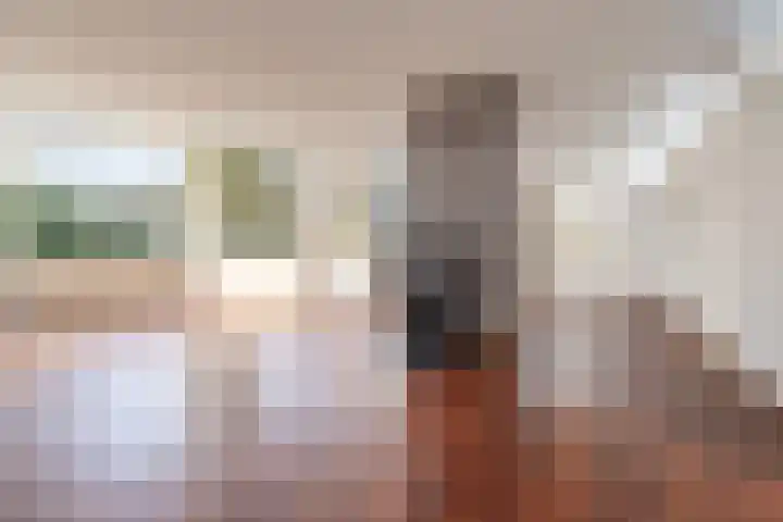 Johan de Wittlaan 15 Barneveld thumbnail 9
