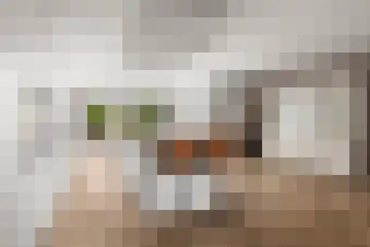 Johan de Wittlaan 15 Woerden thumbnail 11