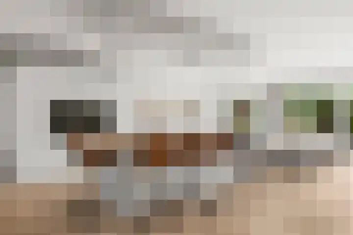 Johan de Wittlaan 15 Woerden thumbnail 12