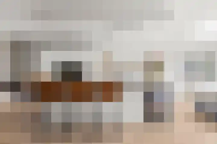 Johan de Wittlaan 15 Woerden thumbnail 13