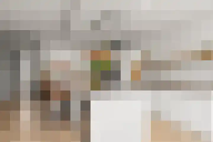 Johan de Wittlaan 15 Woerden thumbnail 14