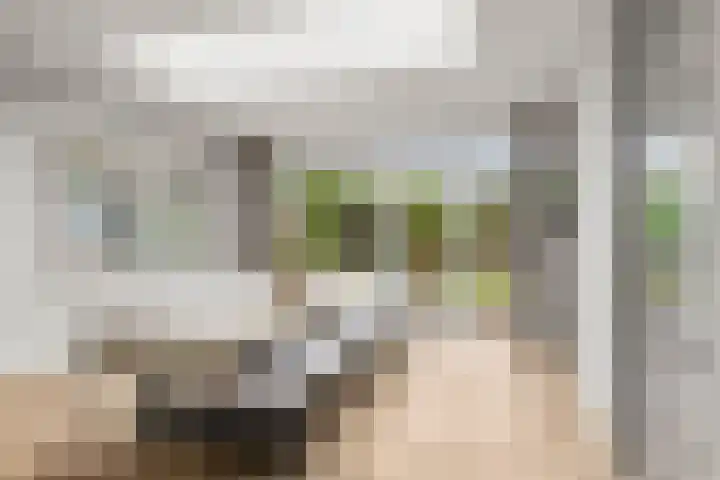 Johan de Wittlaan 15 Woerden thumbnail 17