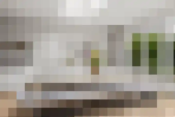 Johan de Wittlaan 15 Woerden thumbnail 18