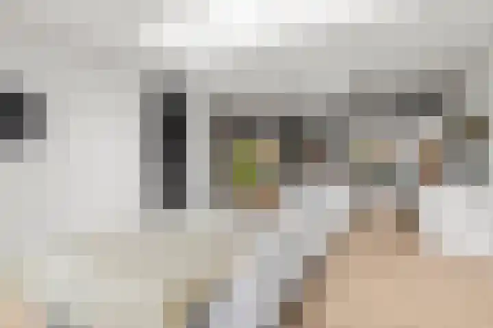 Johan de Wittlaan 15 Woerden thumbnail 19