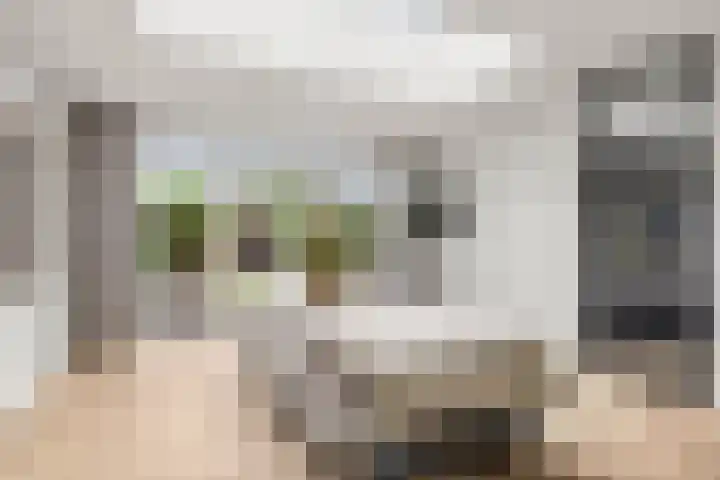 Johan de Wittlaan 15 Woerden thumbnail 20