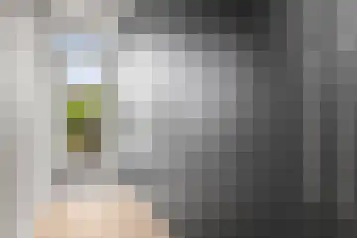 Johan de Wittlaan 15 Woerden thumbnail 22
