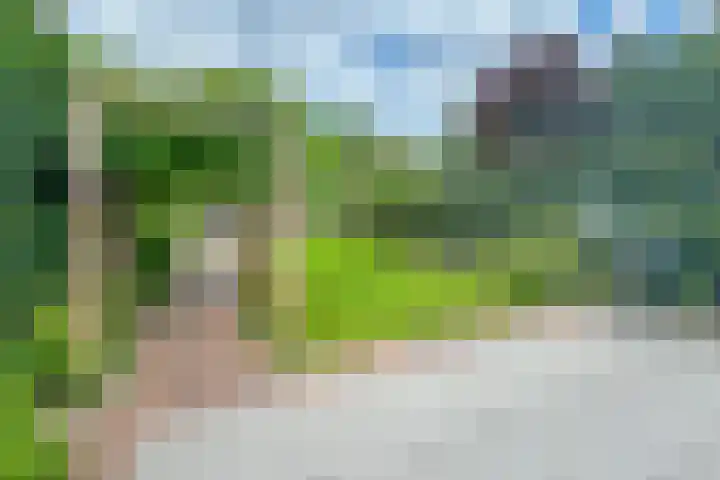 Johan de Wittlaan 15 Woerden thumbnail 26